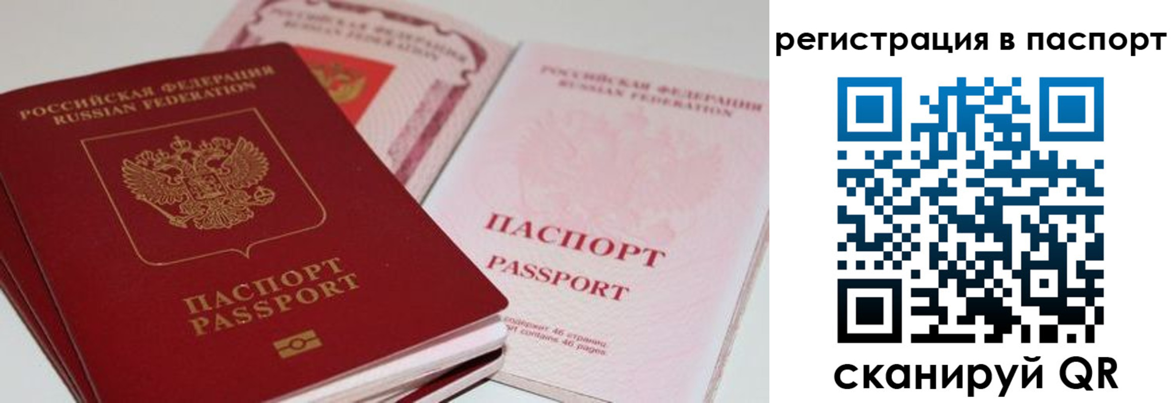 найти адрес прописки в Александровске-Сахалинском